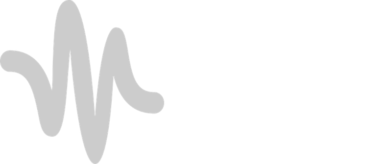 Audio Tracks icon